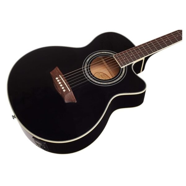 Washburn EA12B