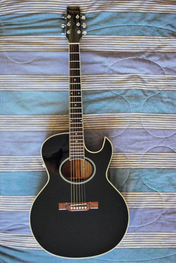 Washburn EA14 B