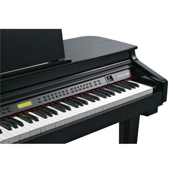 Kurzweil KAG100BP